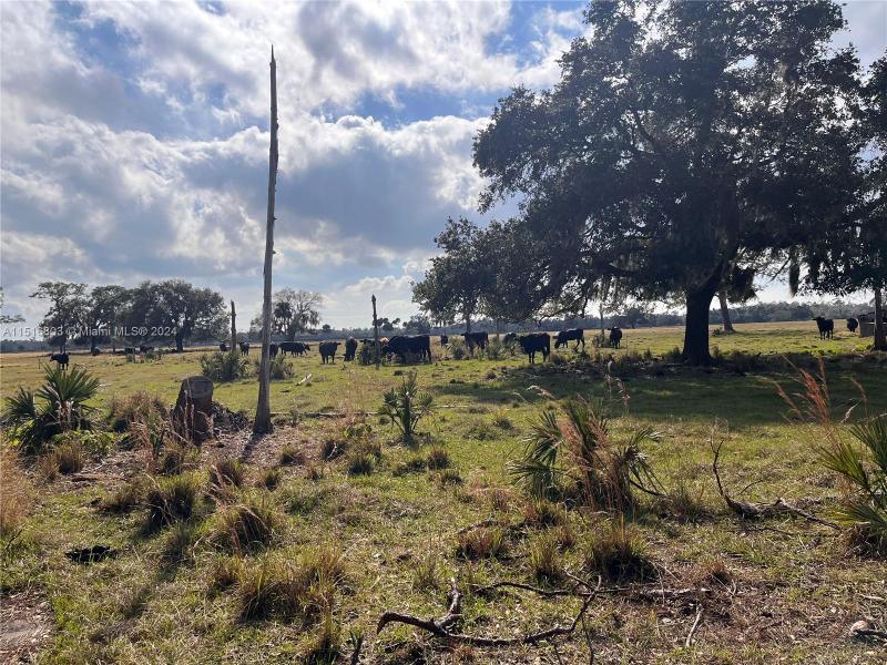 25750 Southwest Jockeys Run, Okeechobee, FL 34974 for Sale