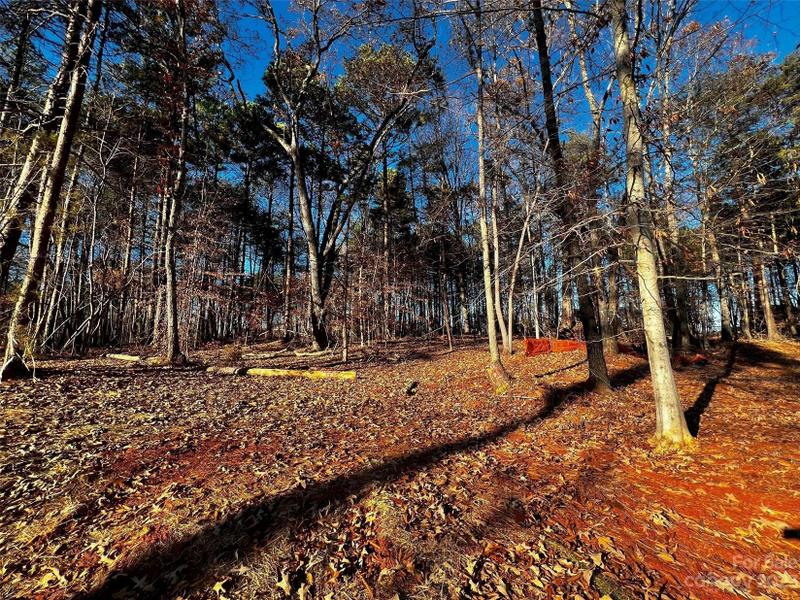 Davidson, Iredell County, NC Undeveloped Land, Homesites for sale Property ID: 418710510