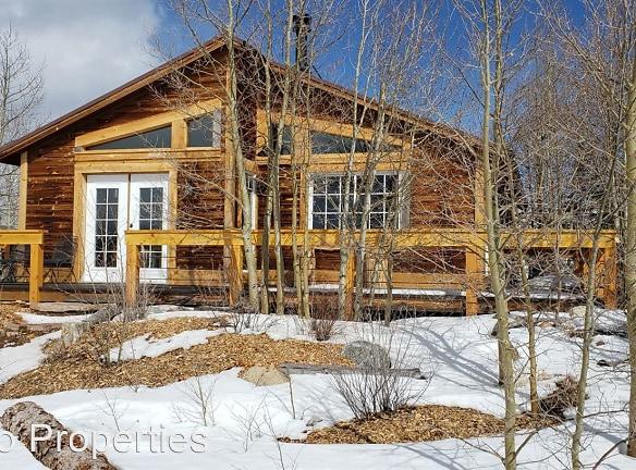 253 Bristlecone Lane - Fairplay, CO 80440 - Home For Rent