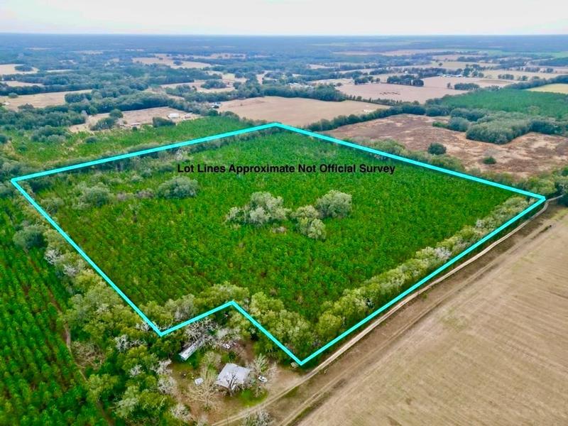 Newberry, Alachua County, FL Recreational Property, Undeveloped Land, Hunting Property for sale Property ID: 418756940
