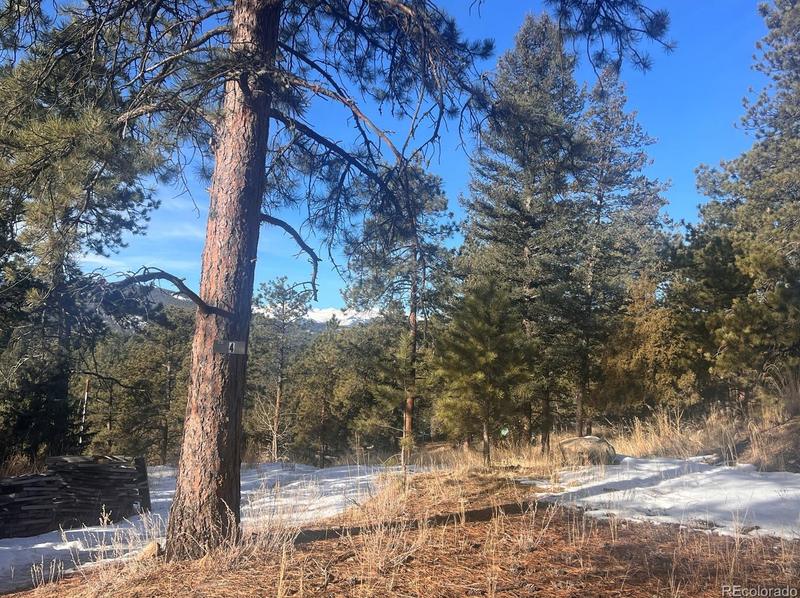 5085 White House Trail Lot 004B, Evergreen, CO 80439 - MLS 8029428 for Sale