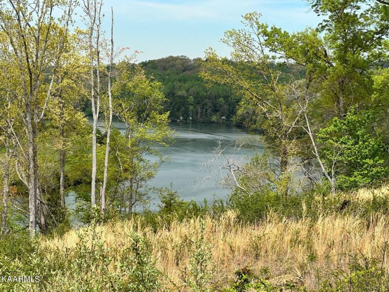 Knoxville, Knox County, TN Undeveloped Land for sale Property ID: 416340906