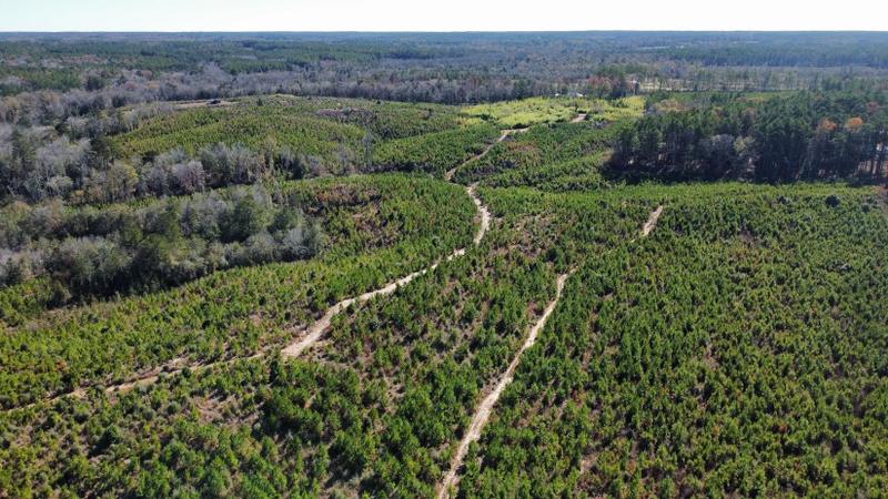 Mendenhall, Simpson County, MS Farms and Ranches, Recreational Property for sale Property ID: 418489433