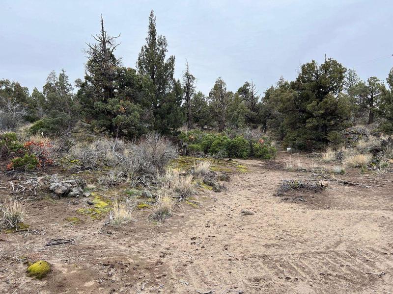 Montague, Siskiyou County, CA Undeveloped Land, Homesites for sale Property ID: 418894805