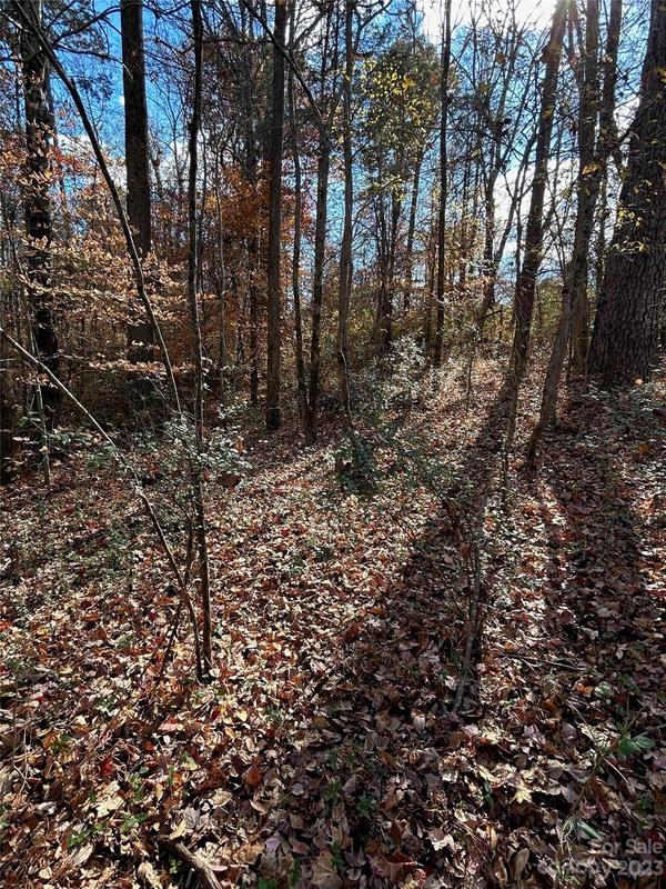 2028 Bess Town Road, Bessemer City, NC 28016 for Sale