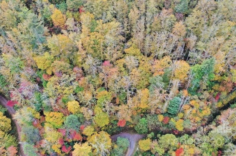 Vl74 Mountain Forest Estates None, Sylva, NC 28779 - MLS 3416539 for Sale
