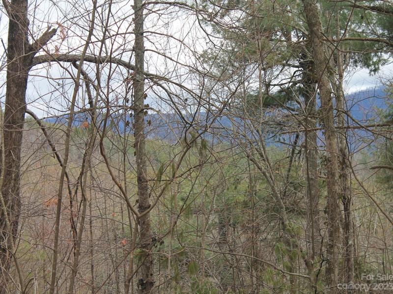 000 Wildlife Trail #2 ACRES, Hendersonville, NC 28739 - MLS 4022371 for Sale