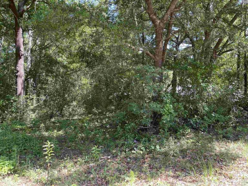 4836 O BRIAN WAY, Pace, FL 32571 Mobile Home For Sale  MLS# 639378