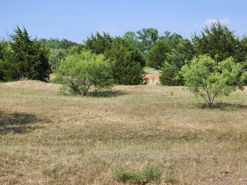 Alvord, Wise County, TX Farms and Ranches for sale Property ID: 418738589