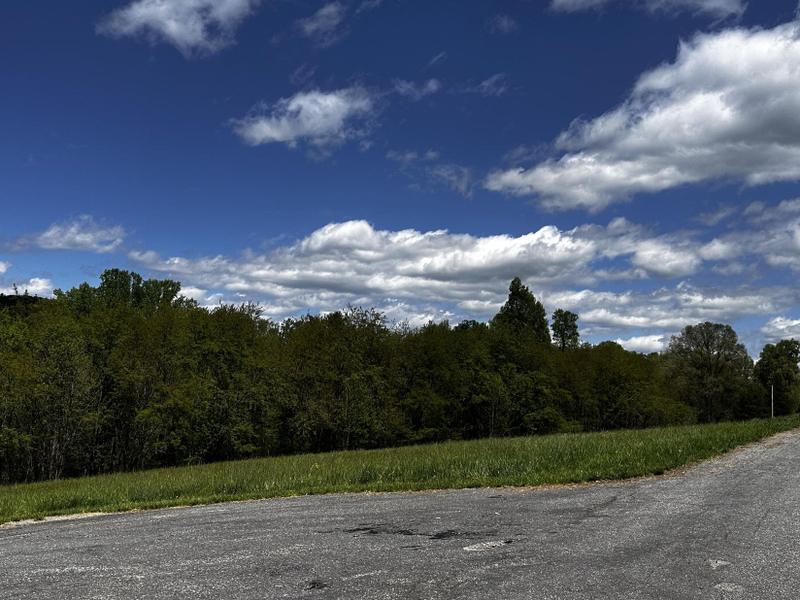 Rocky Mount, Franklin County, VA Undeveloped Land for sale Property ID: 418840020