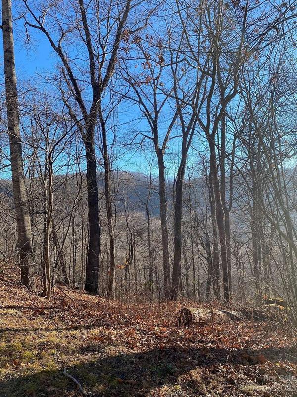 000 Wash Freeman Road, Hendersonville, NC 28792  613137674 for Sale
