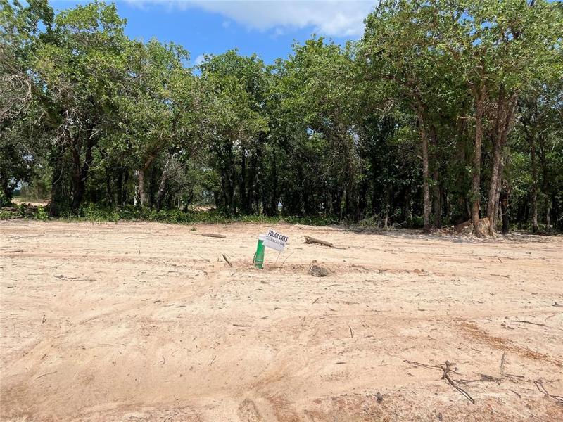 472 Peace Lily Way, Tolar, TX 76476 for Sale