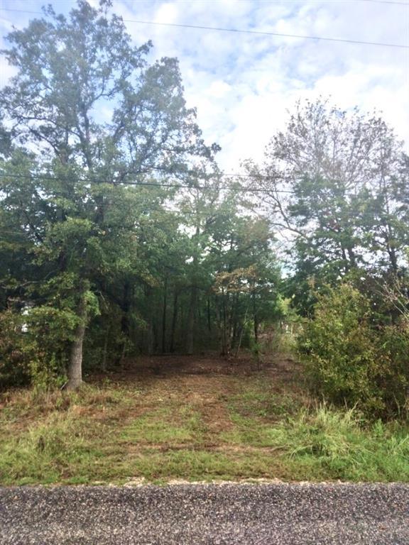 433 Big Bow, Smithville, TX 78957 for Sale