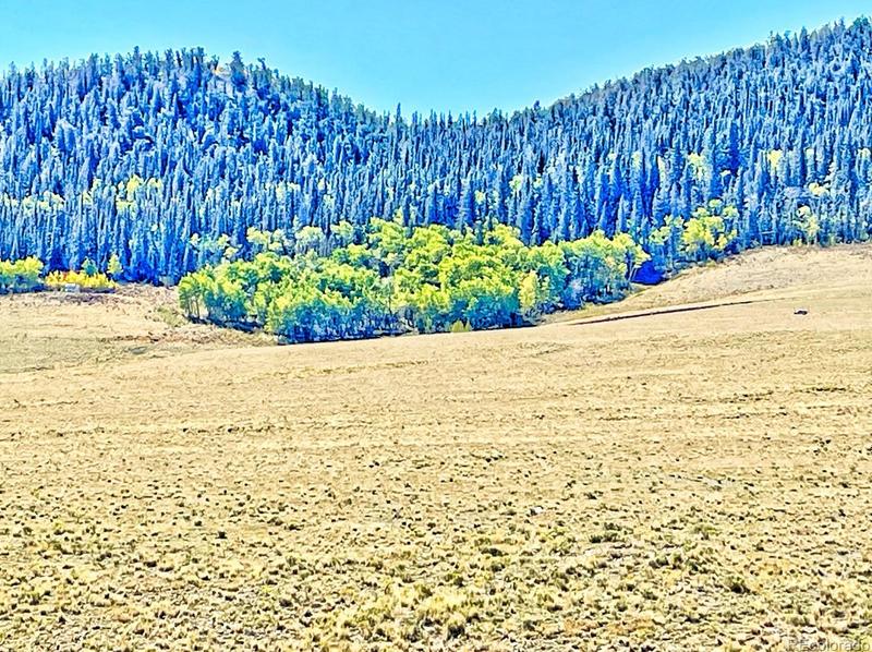 423 Rainbow Dr, Como, CO 80432 - MLS 8829265 for Sale