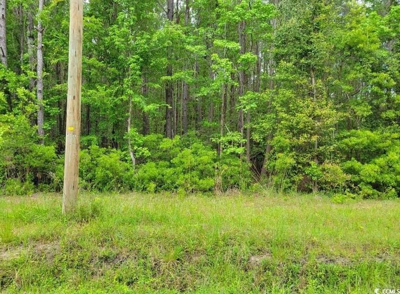 Conway, Horry County, SC Undeveloped Land, Homesites for sale Property ID: 418932990