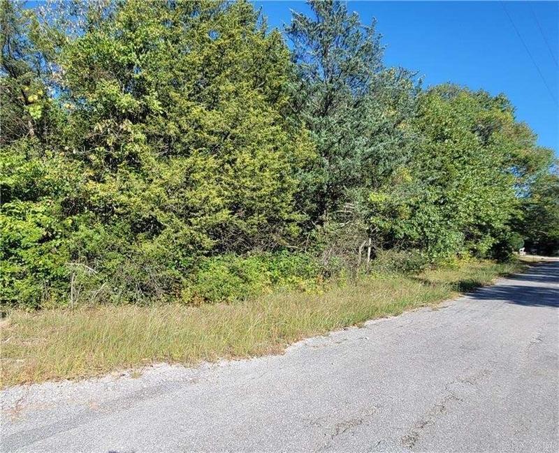 501 Cheyenne Drive, Horseshoe Bend, AR 72512  606096799 for Sale