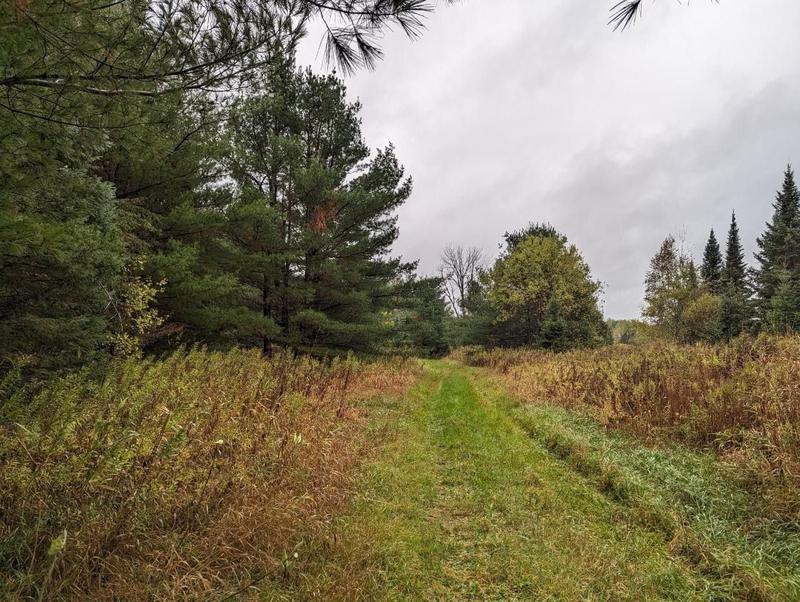 Brantwood, Price County, WI Undeveloped Land for sale Property ID: 418643012