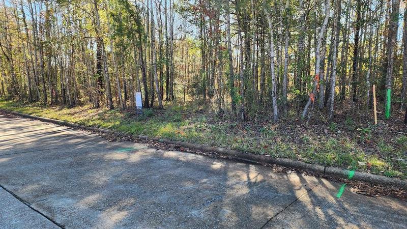 885 Dundee Dr, Vidor, TX 77662 for Sale