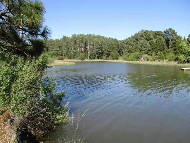 1 NORTHSIDE RD, ONANbird, VA 23417 Land For Sale  MLS# 59902