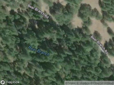 Bear Branch Rd for Sale
