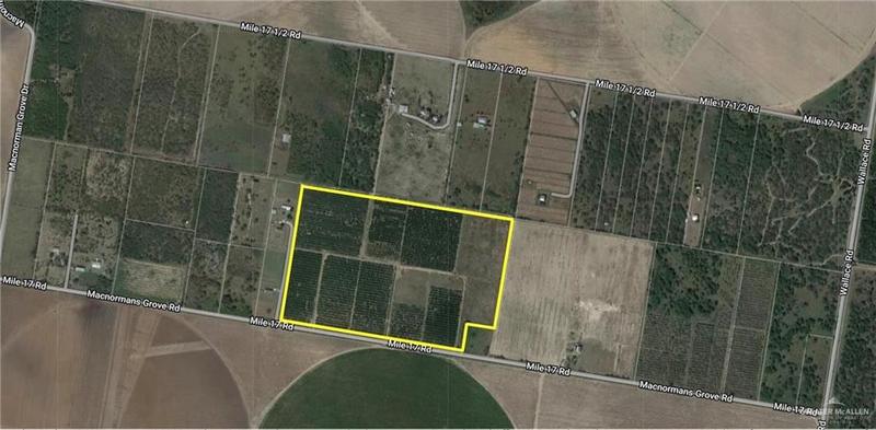 0 Mile 17 Road, Edinburg, TX 78541 for Sale