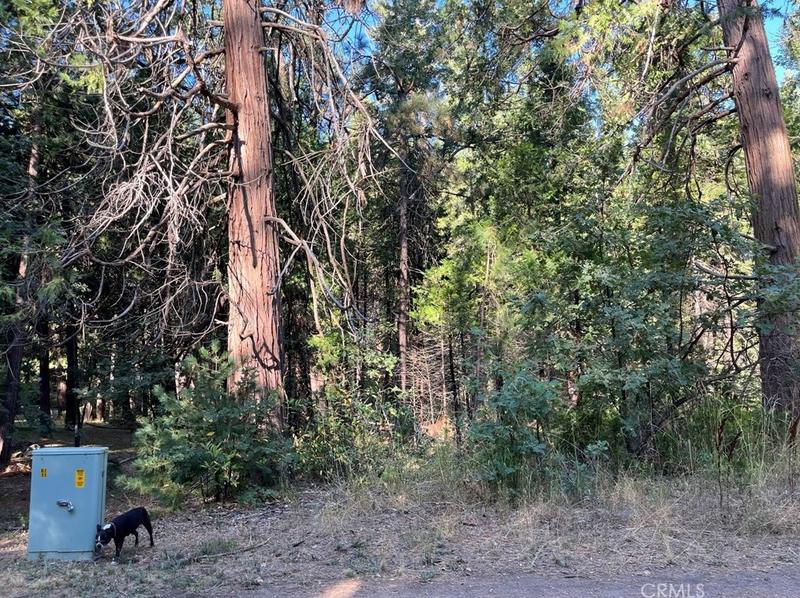 7083 Hites Cove Rd, Mariposa, CA 95338 - MLS MC23177641 for Sale