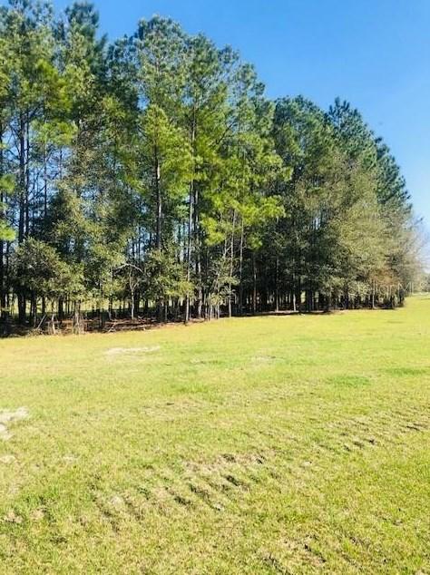 Tbd NW 145th - Westfield - Lot 2, Morriston, FL 32668 - MLS OM667226 for Sale
