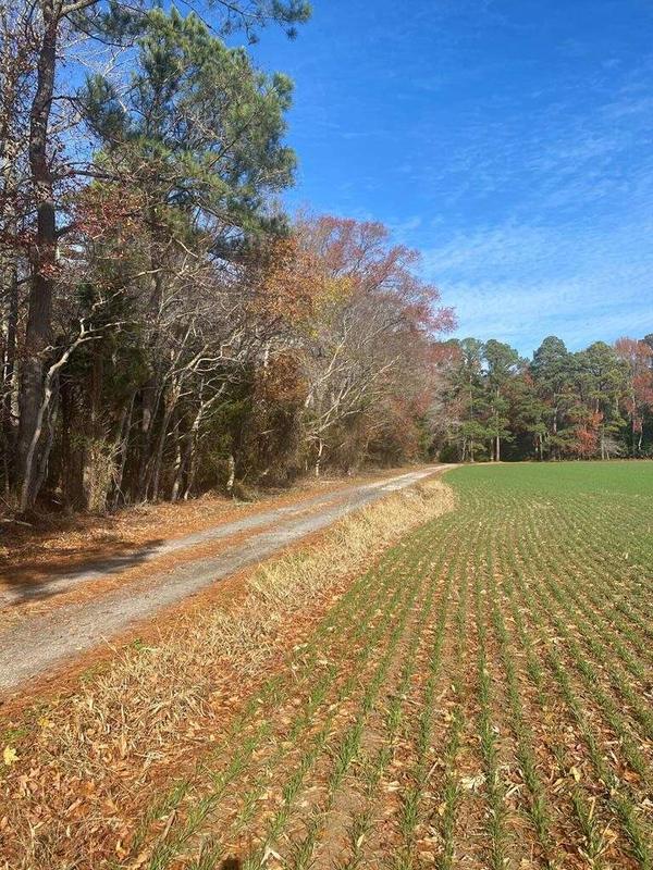 LOT 1 ROYAL WOODS LN, BELLE HAVEN, VA 23306  613726638 for Sale