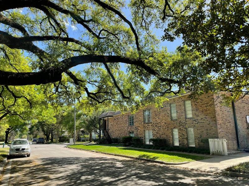 121 E 12th St #3, Houston, TX 77008 for Rent