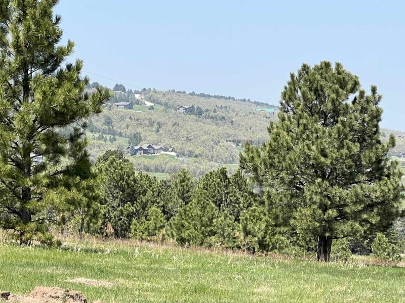 Whitewood, Lawrence County, SD Homesites for sale Property ID: 418576546