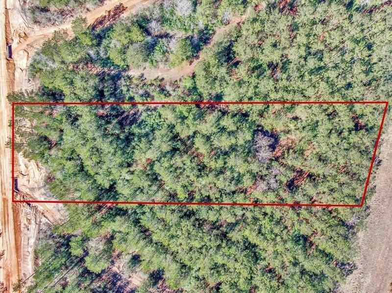 15388 Frst Grv Dr, Willis, TX 77378 - MLS 98422334 for Sale