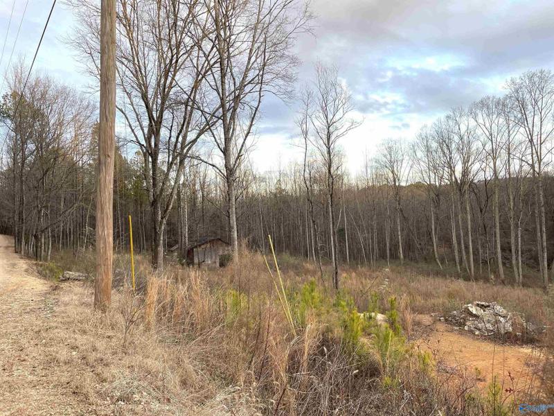 Gadsden, Etowah County, AL Undeveloped Land for sale Property ID: 418810558