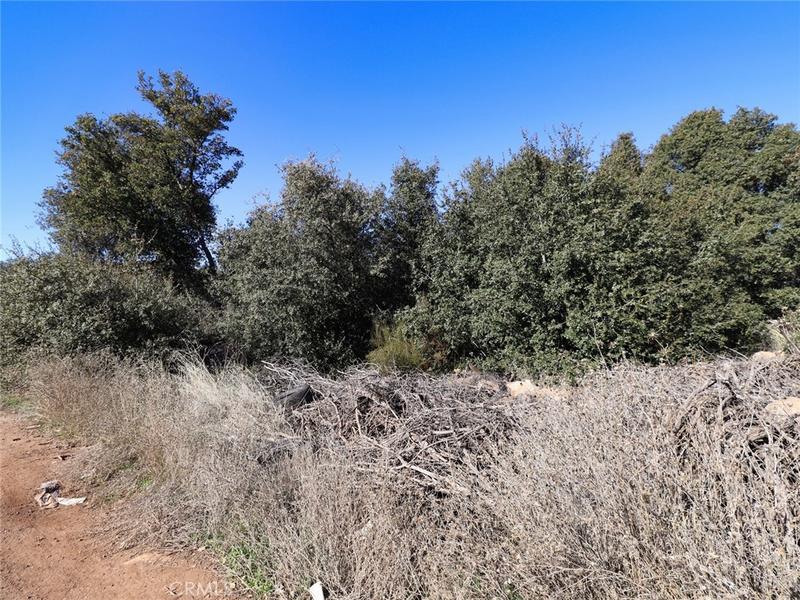 16336 8th Avenue, Clearlake, CA 95422 for Sale
