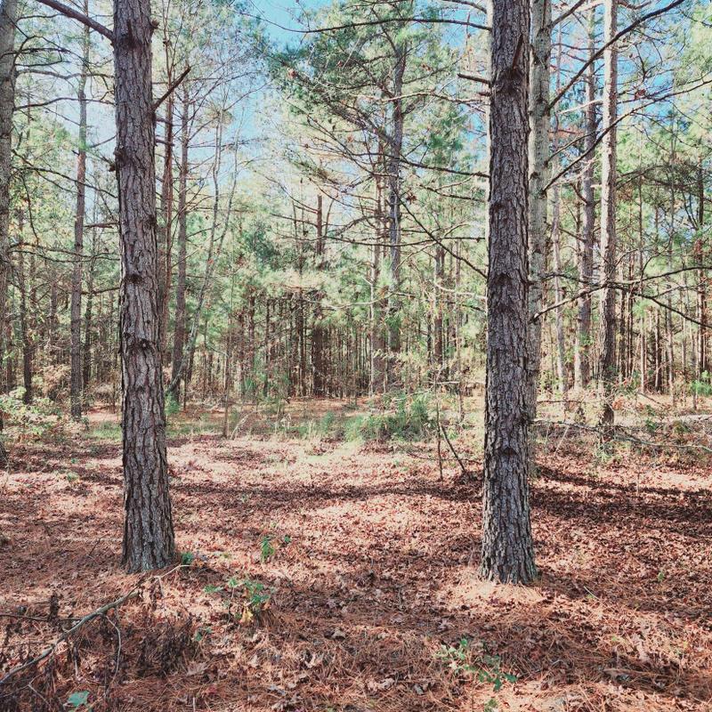Wrens, Jefferson County, GA Undeveloped Land for sale Property ID: 418724294