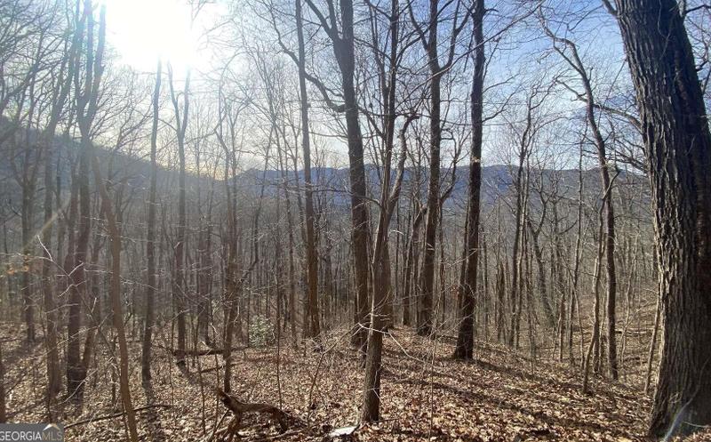 Tract 1 Caesar Gap Rd, Hiawassee, GA 30546 - MLS 20160591 for Sale