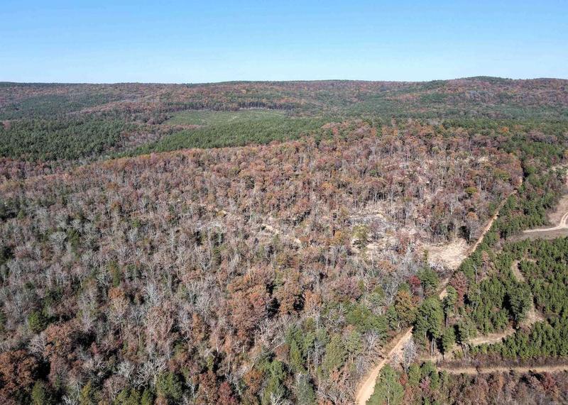 000 Liberty Springs Road, Scotland, AR 72141  609987388 for Sale