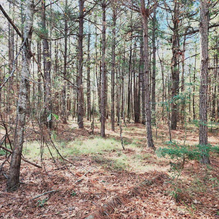 16 Hillside Dr, Wrens, GA 30833  MLS# 524499 for Sale