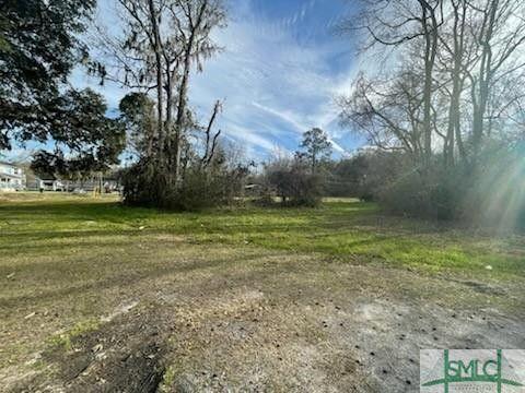 Savannah, Chatham County, GA Undeveloped Land, Homesites for sale Property ID: 418876829