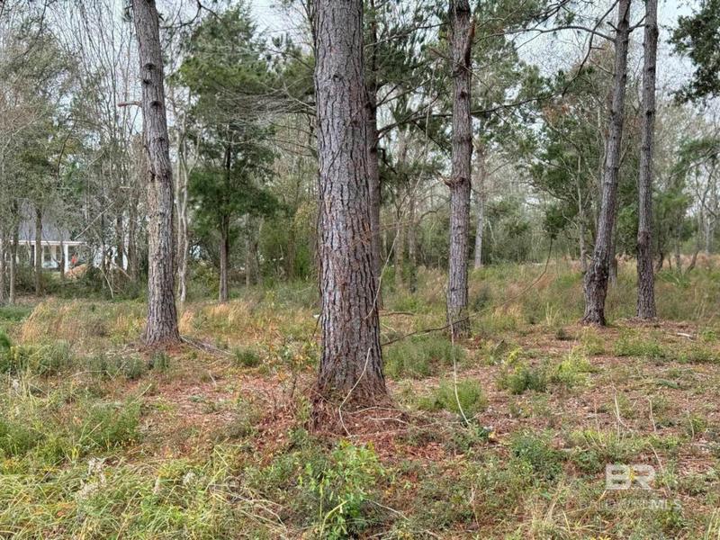 0 OLD BRADY ROAD, Loxley, AL 36551 Land For Sale  MLS# 356195