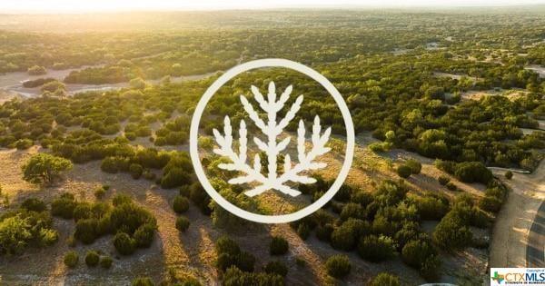2078 W Ranch Road 962, Lot 40, Round Mountain, TX 78663 for Sale