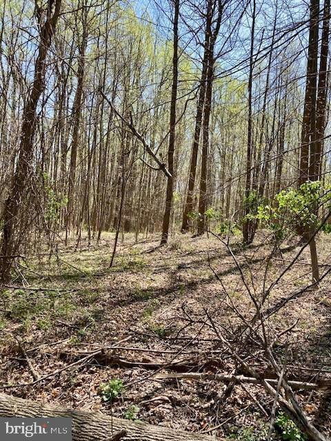 19230 CHANDLEE MILL RD, SANDY SPRING, MD 20860 Land For Sale  MLS# MDMC2117356