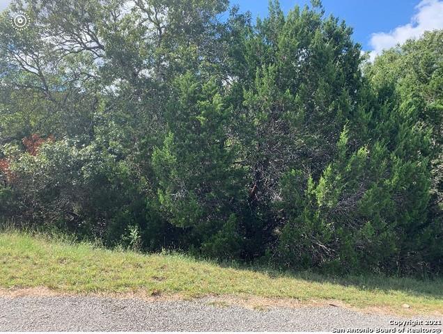 1063 Royal Eagle Dr, Fischer, TX 78623 for Sale
