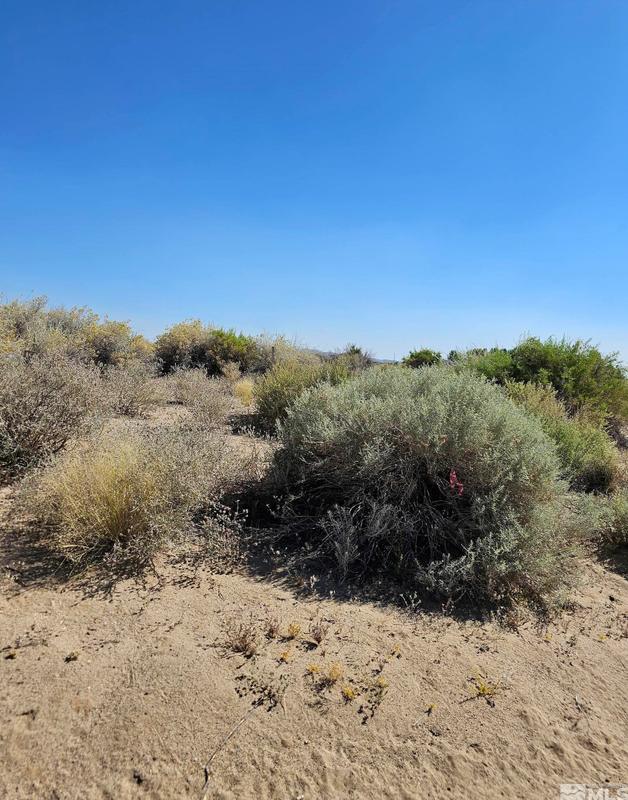 8245 Kamibo Dr, Fallon, NV 89406 - MLS 230007983 for Sale