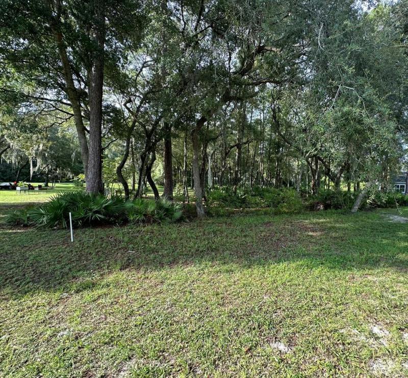 0 NW 174TH PL, Fanning Springs, FL 32693 Land For Sale  MLS# 787044