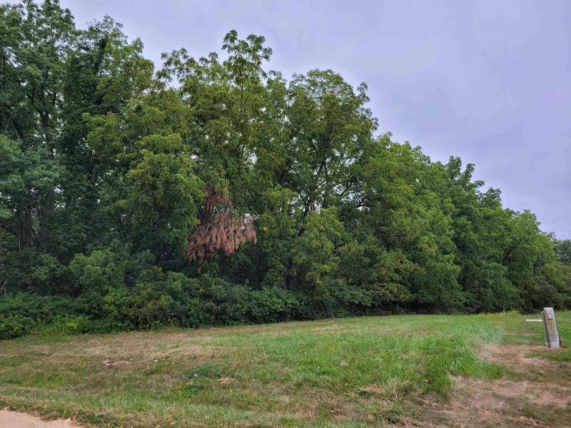 20-31 & 32 Fox Run, LAKE CARROLL, IL 61046  603280595 for Sale