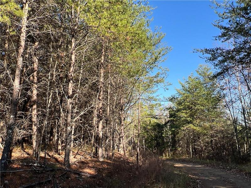 0 Johnson Mountain Road, Fairmount, GA 30171 for Sale
