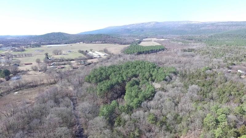 Havana, Yell County, AR Undeveloped Land for sale Property ID: 418832437