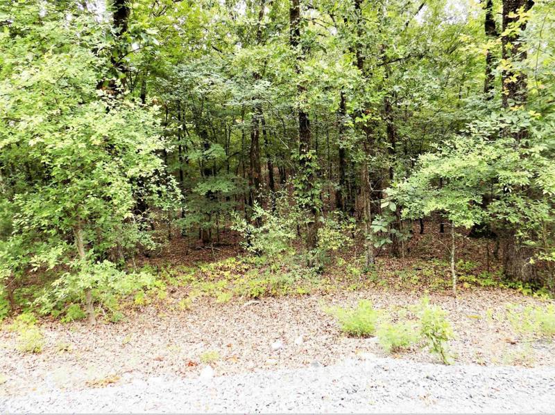 00 WILDERNESS RD, Greenbrier, AR 72058 Land For Sale  MLS# 23024899