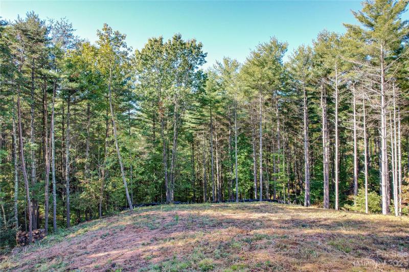 Nebo, Mc Dowell County, NC Undeveloped Land, Homesites for sale Property ID: 416517870