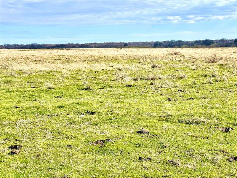 TBD SW county road 2230, Wortham, TX 76693 for Sale